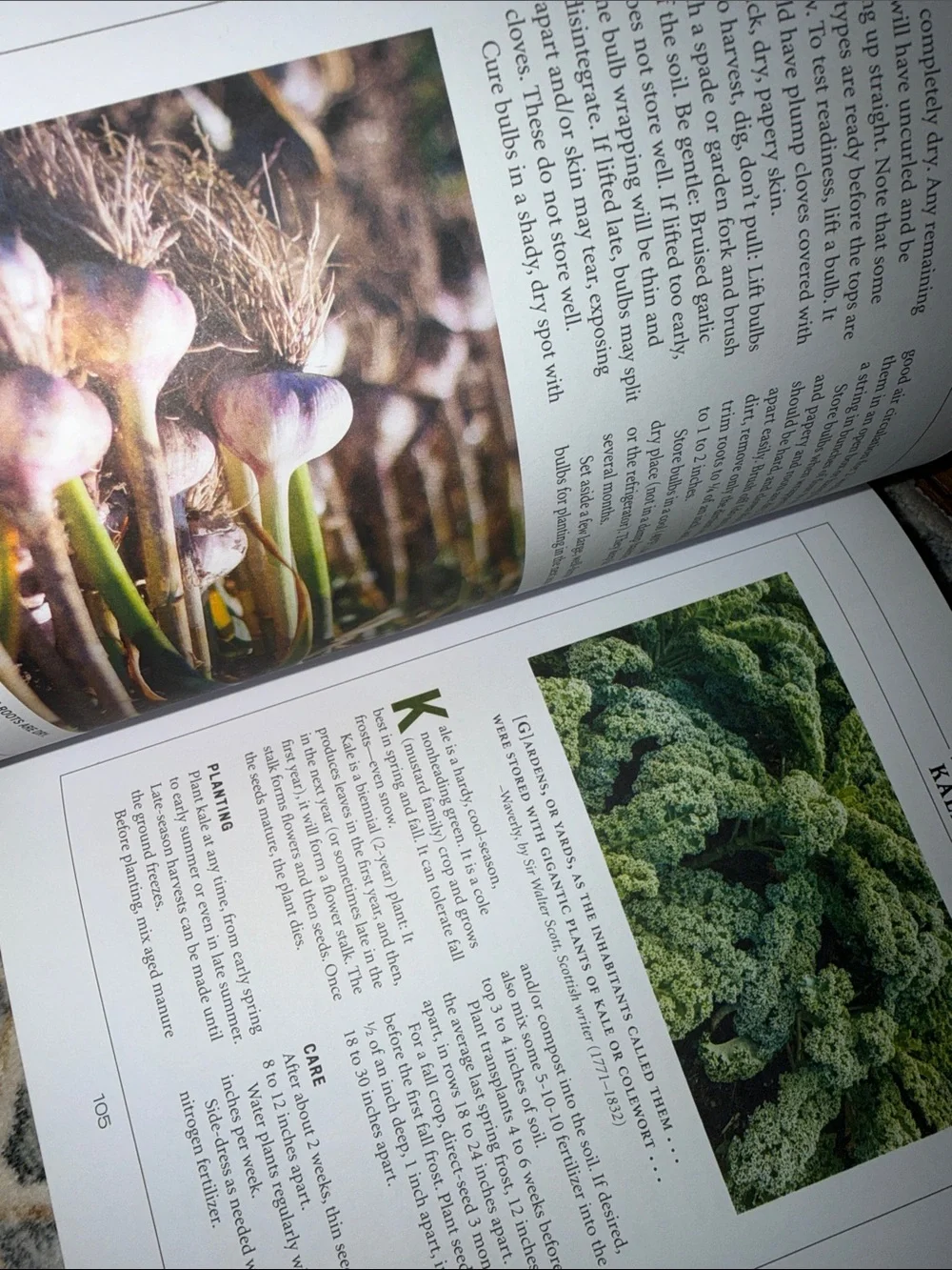 Vegetable Gardener's Handbook - Book Farmer’s Almanac Gardening
